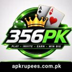 356pk online gaming platform safety and features guide