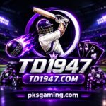 TD1947 online gaming platform informational guide