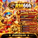 RM666 online gaming safety guide with legal checks and trust information